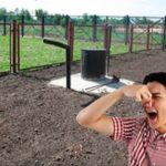От чего возникает и как устранить неприятный запах септика или выгребной ямы